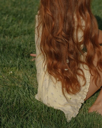 Daisy