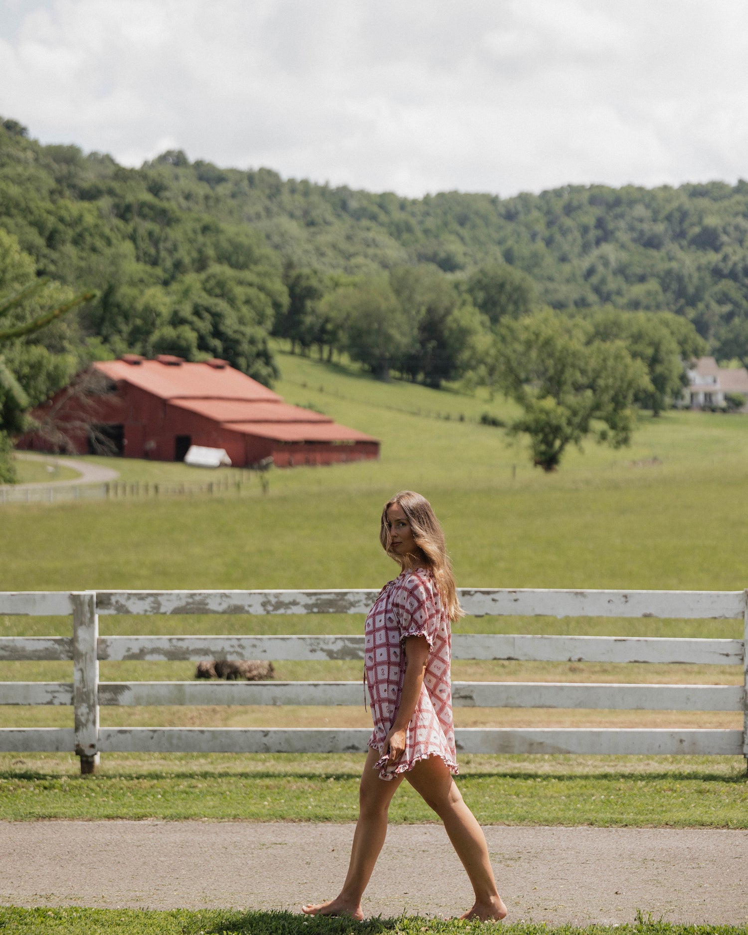 Daisy - Berry Americana Edition