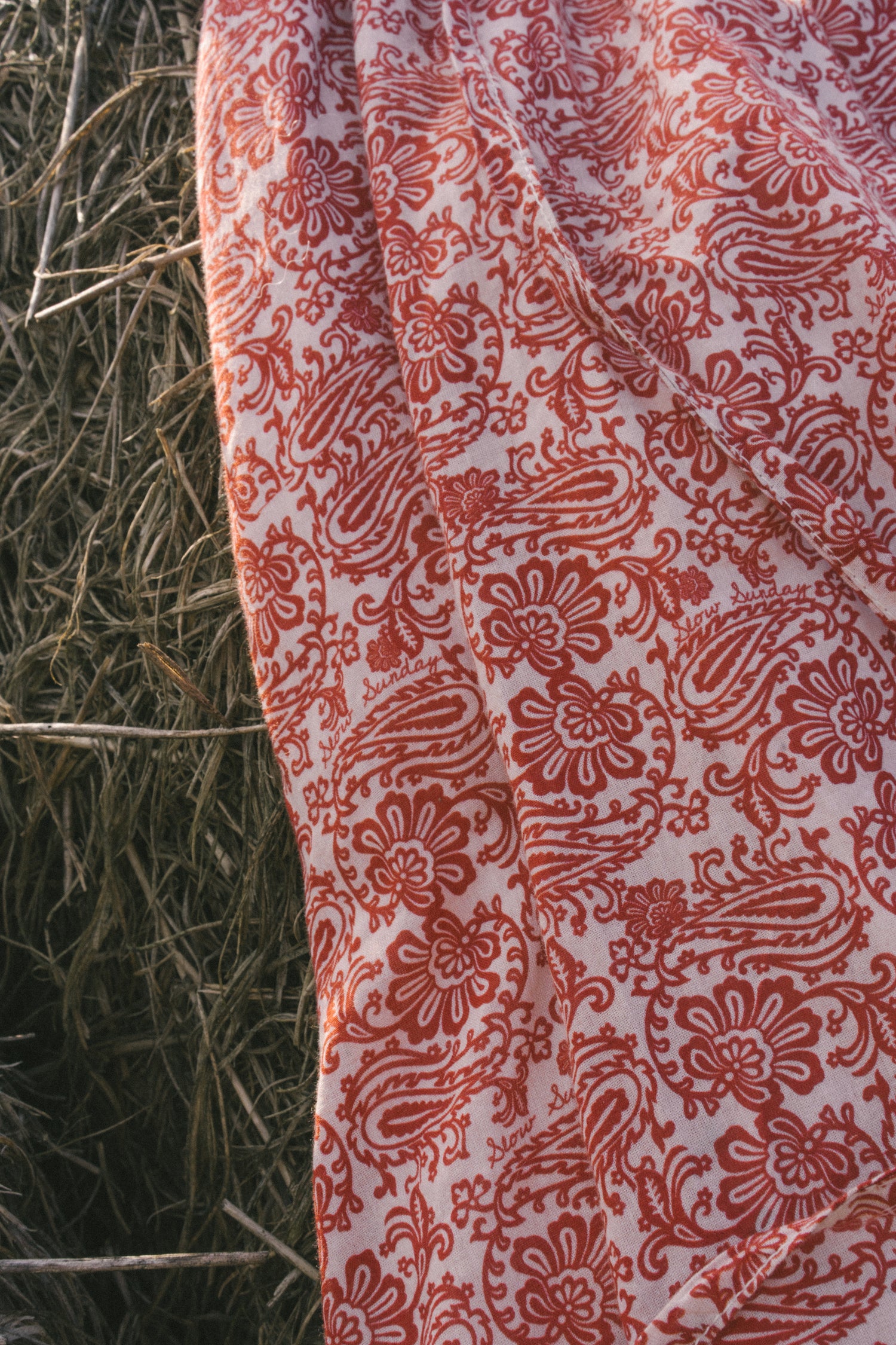 Ivy in Red Paisley